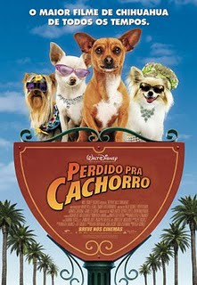 PERDIDOS PRA CACHORRO